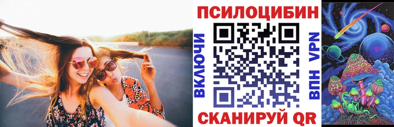 Галлюциногенные грибы GOLDEN TEACHER  Аргун 