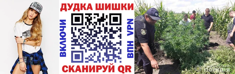 Каннабис MAZAR  Аргун 